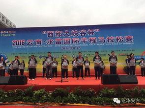 长江艺术学院的吃瓜群众,吃瓜群众眼中的校园风云录