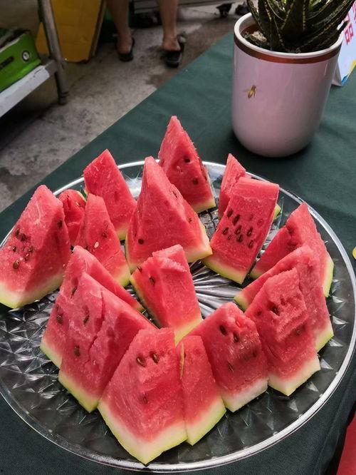 吃瓜群众小杨烧烤,吃瓜群众的美食盛宴