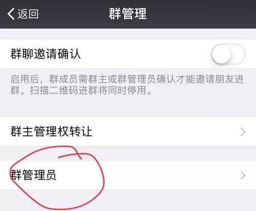 吃瓜群众微信群聊语音,一场语音盛宴的精彩回顾