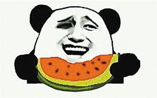 吃瓜群众兔子的视频,吃瓜群众兔子带你揭秘热门视频背后的故事