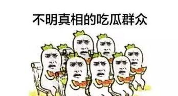 两个人的吃瓜群众,两位吃瓜群众的趣味碰撞