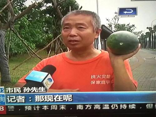 武威吃瓜群众事件