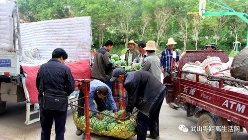 澄城县吃瓜群众是谁,揭秘网络热词背后的故事