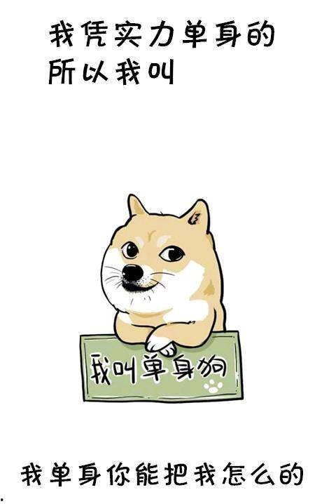 吃瓜群众一只落寞单身狗,落寞单身狗的吃瓜日常