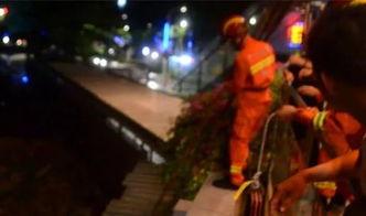 吃瓜群众天桥,揭秘娱乐圈背后的故事