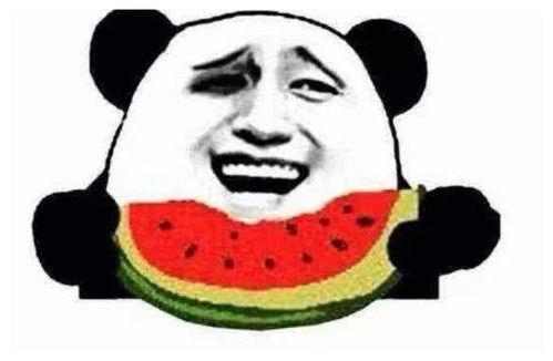 吃瓜群众不吃瓜6,一场关于真相与误解的探讨