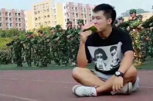 李振宁吃瓜群众,吃瓜群众的狂欢盛宴