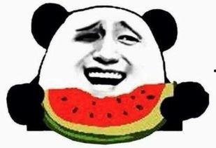 吃瓜群众起名字,揭秘吃瓜群众的趣味人生